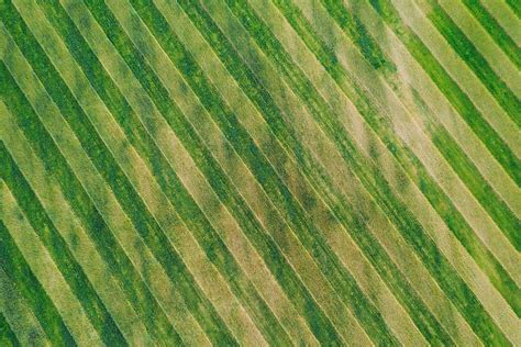 Natural Green Field Background #1 Photograph by Ryhor Bruyeu - Fine Art America