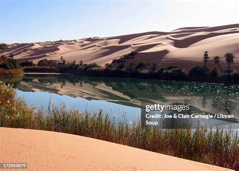 4,391 Sahara Desert Oasis Stock Photos, High-Res Pictures, and Images ...