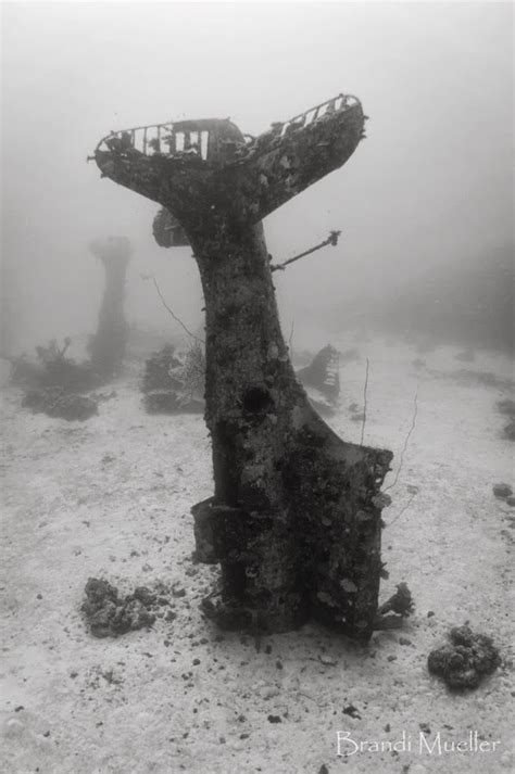 WRECKS | Abandoned ships, Underwater world, Underwater ruins