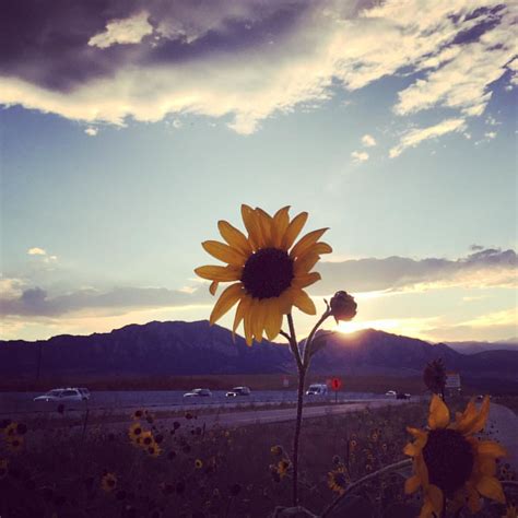 Side of the road sunset tonight outside #Boulder, #Colorad… | Flickr