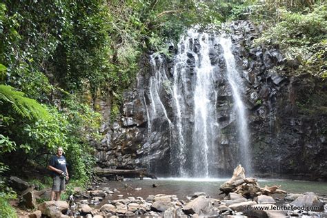 Atherton, Queensland (28 – 30 August 2017) - Let It Be Food