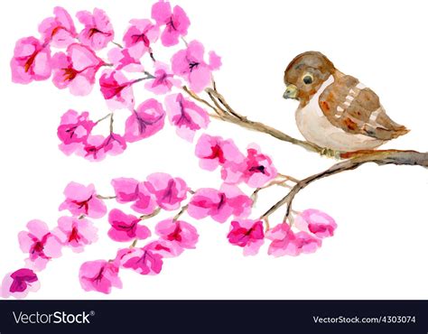 Watercolor painting bird on branch Royalty Free Vector Image