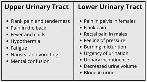 Urinary Tract Infection (UTI) - Symptoms and Management - Pains Portal