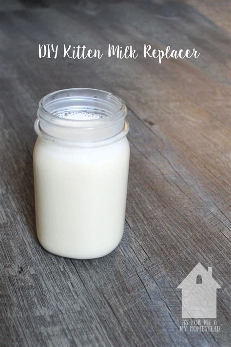 DIY Kitten Milk Replacer Recipe - As For Me and My Homestead