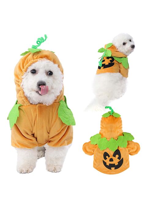 Pumpkin Dog Costume