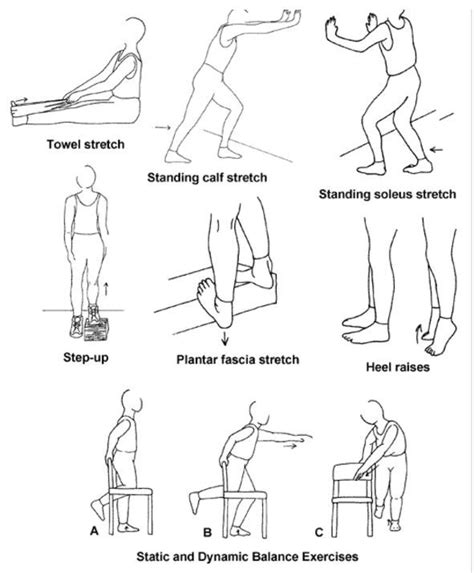 Best Achilles Tendon Exercises, Rehab Exercises To Avoid Rupture ...