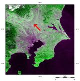 春の訪れ、渡良瀬遊水地のヨシ焼き | 地球が見える | JAXA 第一宇宙技術部門 地球観測研究センター（EORC）