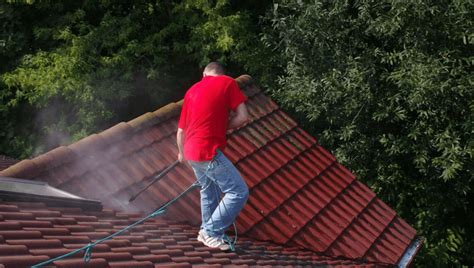 Guardians Of Shingles: Simple Precautions For Effective Roof Cleaning - Dark Side Of The Tune