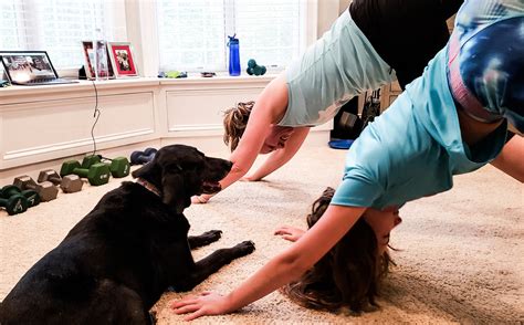 Five Core Benefits of Exercising with Your Pets - MS Health Source