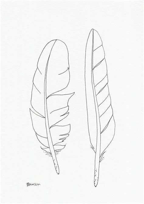 Original Tinte Feder zeichnen 2 Sea Bird-Federn | Feather drawing, Ink ...