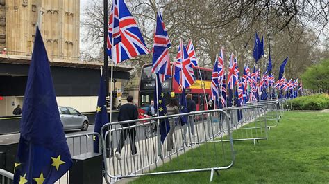 Brexit supporters discover they can take their own flags to parliament