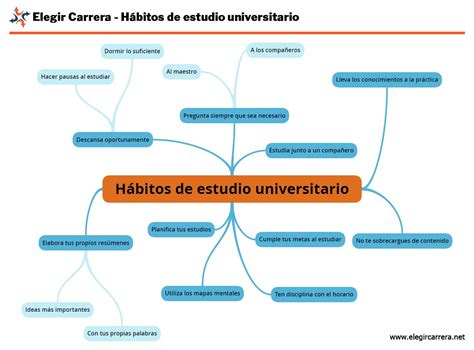 Hábitos de estudio universitario: el secreto de los mejores estudiantes