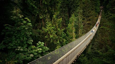 Capilano Suspension Bridge & Park — Park Review | Condé Nast Traveler