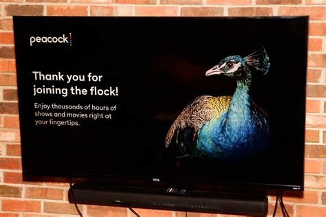 How Peacock looks on different platforms - CNET