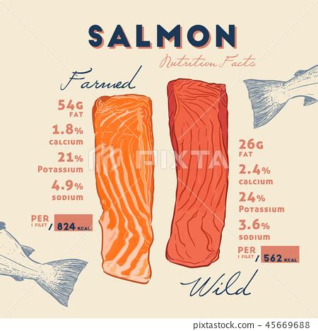 Wild Caught Salmon Nutrition Facts | Besto Blog