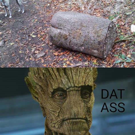 The best groot memes :) Memedroid