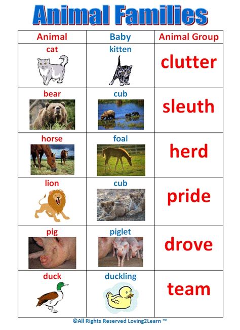 Pint off this "Animal Families" chart! www.loving2learn.com | Animals ...