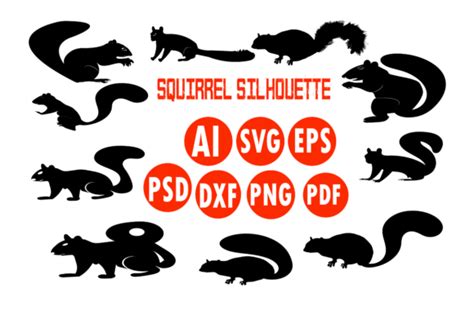 Squirrel Silhouette SVG Bundle Graphic by Ripon Sarkar · Creative Fabrica