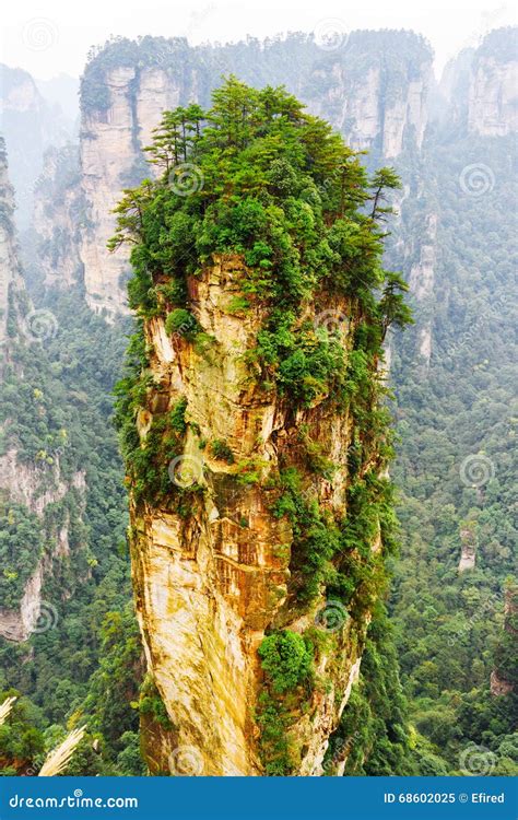 The Avatar Hallelujah Mountain among Green Woods and Rocks Stock Image ...