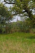 Category:Cranham Marsh - Wikimedia Commons