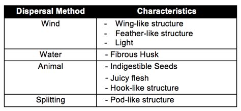Mastering The 4 Seed Dispersal Methods In 4 Minutes - Primary School Science Tuition - The Smart ...