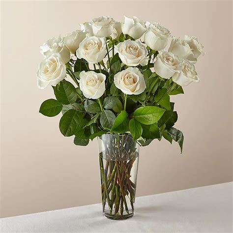 White Roses in Vase - Interflora