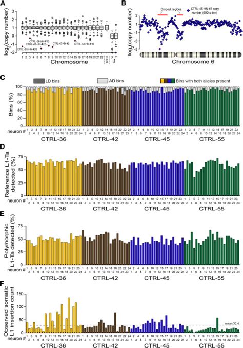 Single-Cell WGS and RC-Seq Analyses of 92 Hippocampal Neurons | Download Scientific Diagram