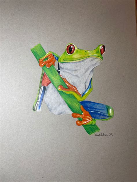 Frog Colored Pencil Drawing - Etsy