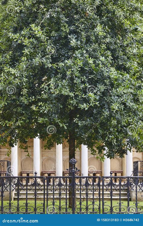 The Tree Of Guernica Gernika, Basque Country Royalty-Free Stock Image ...