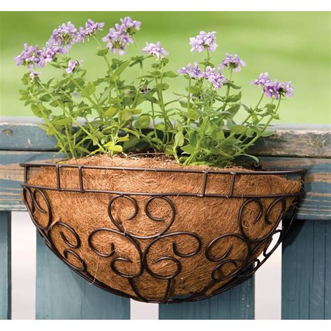 Beautiful Metal Planters for Wall Decoration: Strong and Stable
