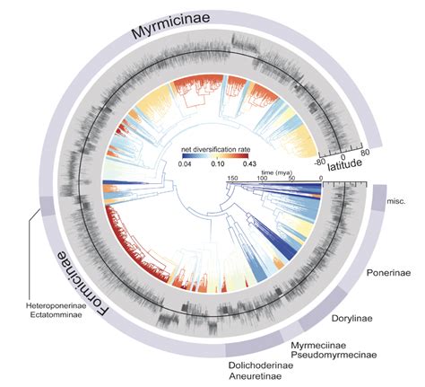 New paper on global ant diversity patterns – Economo Lab