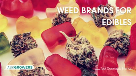 Top Cannabis Brands for Weed Lovers (Updated 2023) | AskGrowers