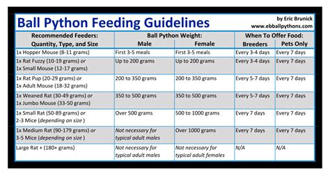 Ball python feeding chart — how much to feed a ball python, based on ...