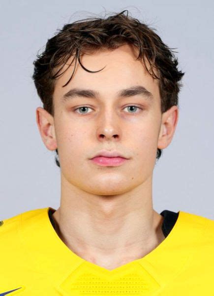 Felix Unger-Sorum Hockey Stats and Profile at hockeydb.com