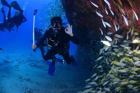 8 Best Dive Sites in Cozumel - Diving Lore