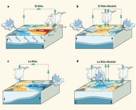 4 Schematic illustrations of conventional El Niño and La Niña and El... | Download Scientific ...