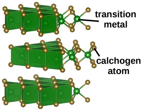 Select the right atom to adjust atomic motions in transition metal dichalcogenides – Atlas of ...