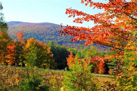 Autumn in the Adirondacks {2014} | Golden Boys & Me