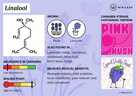 What Is Linalool? Uses, Effects and Benefits - Dispensary Delivery near me Top 10 Cannabis ...