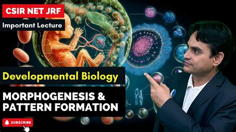 L-7 Morphogenesis and Pattern Formation I Developmental Biology I CSIR NET JUNE 2024 I IFAS ...