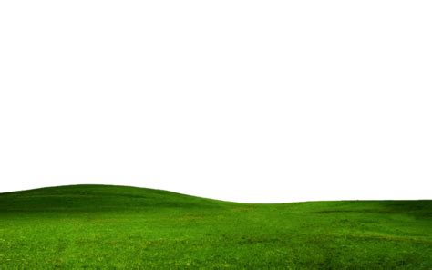 Grass Διαφανής Png | Blur photo background, Grass, Background pictures