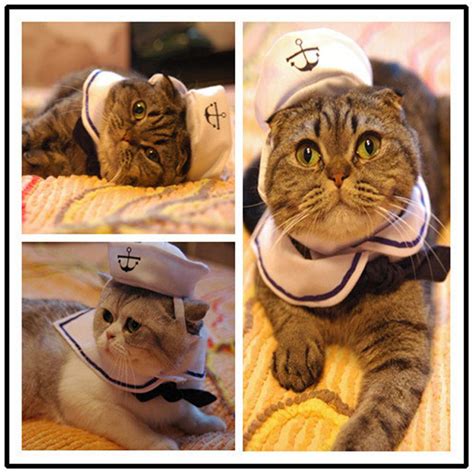 Cat Dog Sailor Costume - Cat Costume Navy Hat Cats Dogs Halloween ...