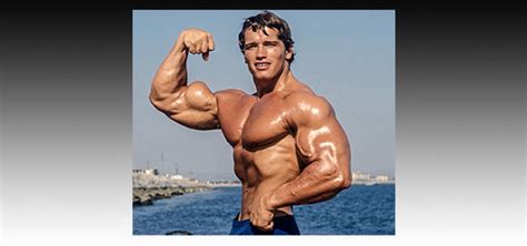 Arnold Schwarzenegger A Bodybuilding Profile