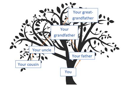 Can a woman trace her paternal ancestry? - DNA Testing Choice