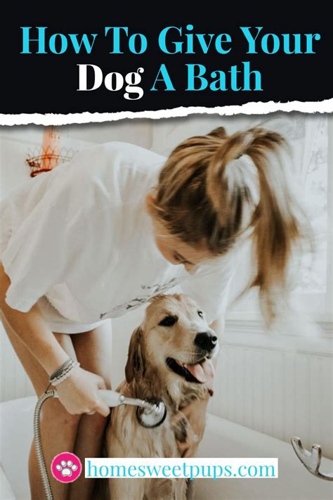 Dog Care: How To Give Your Dog A Bath At Home | Dog shampoo, Dog care, Dog grooming tips