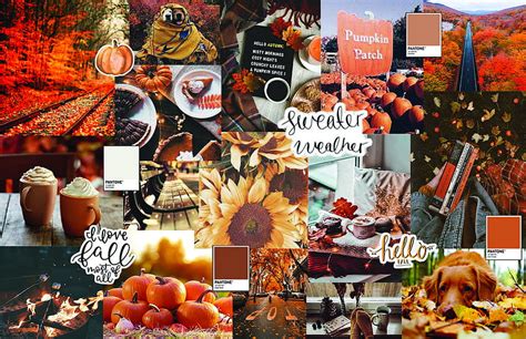 Fall Background. Cute fall , Fall , iPhone fall, Autumn Collage HD wallpaper | Pxfuel