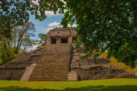 Chiapas, Mexico. Palenque. the Pyramid on the Background of Green Tree Leaves Stock Photo ...