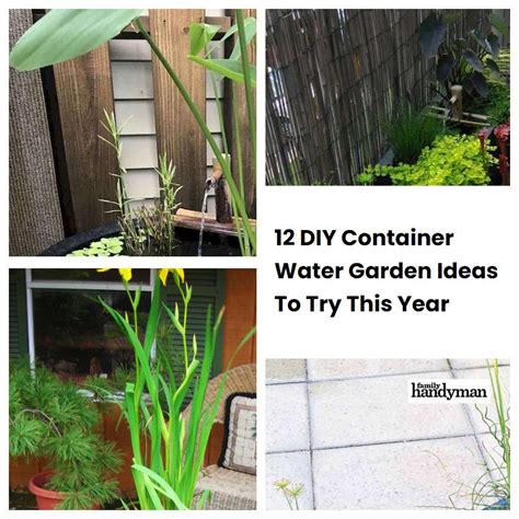 12 DIY Container Water Garden Ideas To Try This Year | SharonSable