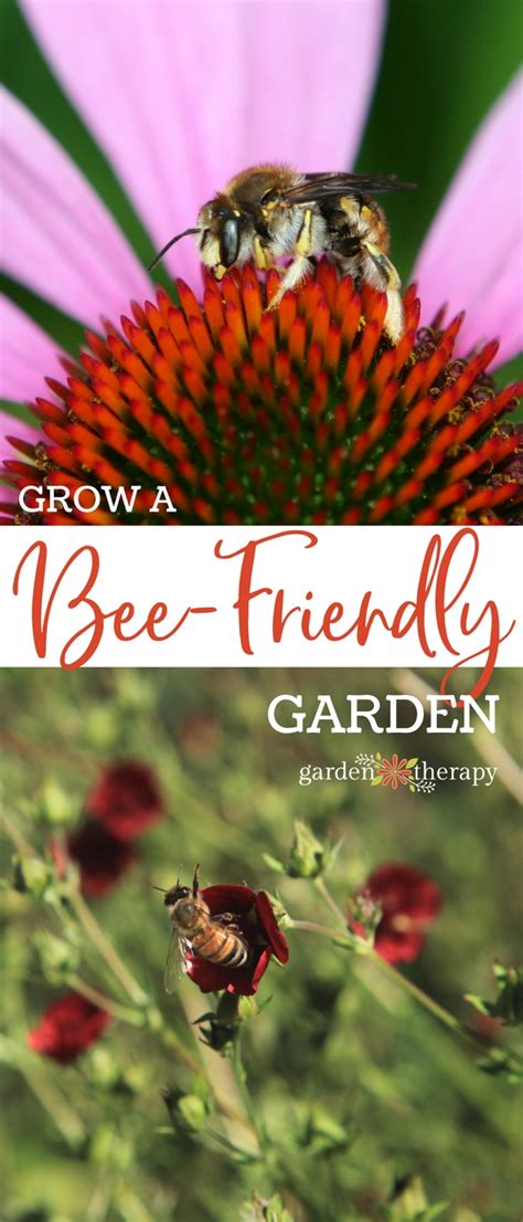 Plants and Tips to Create a Bee-Friendly Garden - Garden Therapy