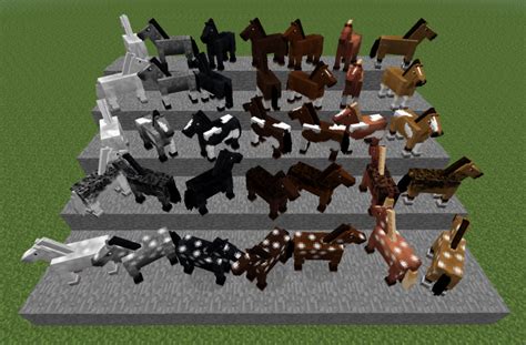 The 35 different types of Minecraft horses! Courtesy of minecraft.gamepedia.com :D | minecraft ...